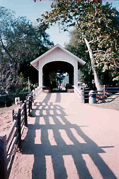 Pont